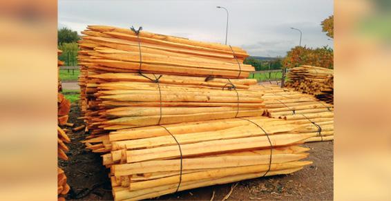 M.ou Mme Reis Raoul à Autun - Coupe de bois