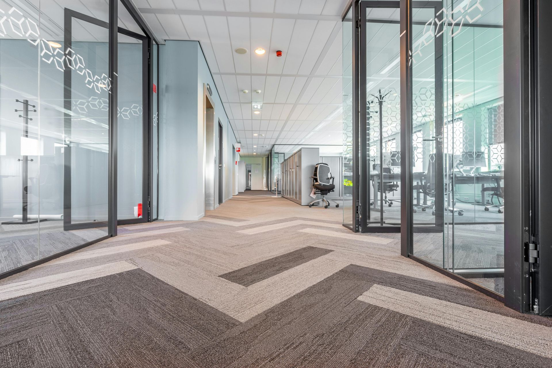 Office hallway with patterned carpet, glass-walled offices, and a gray and white geometric design.