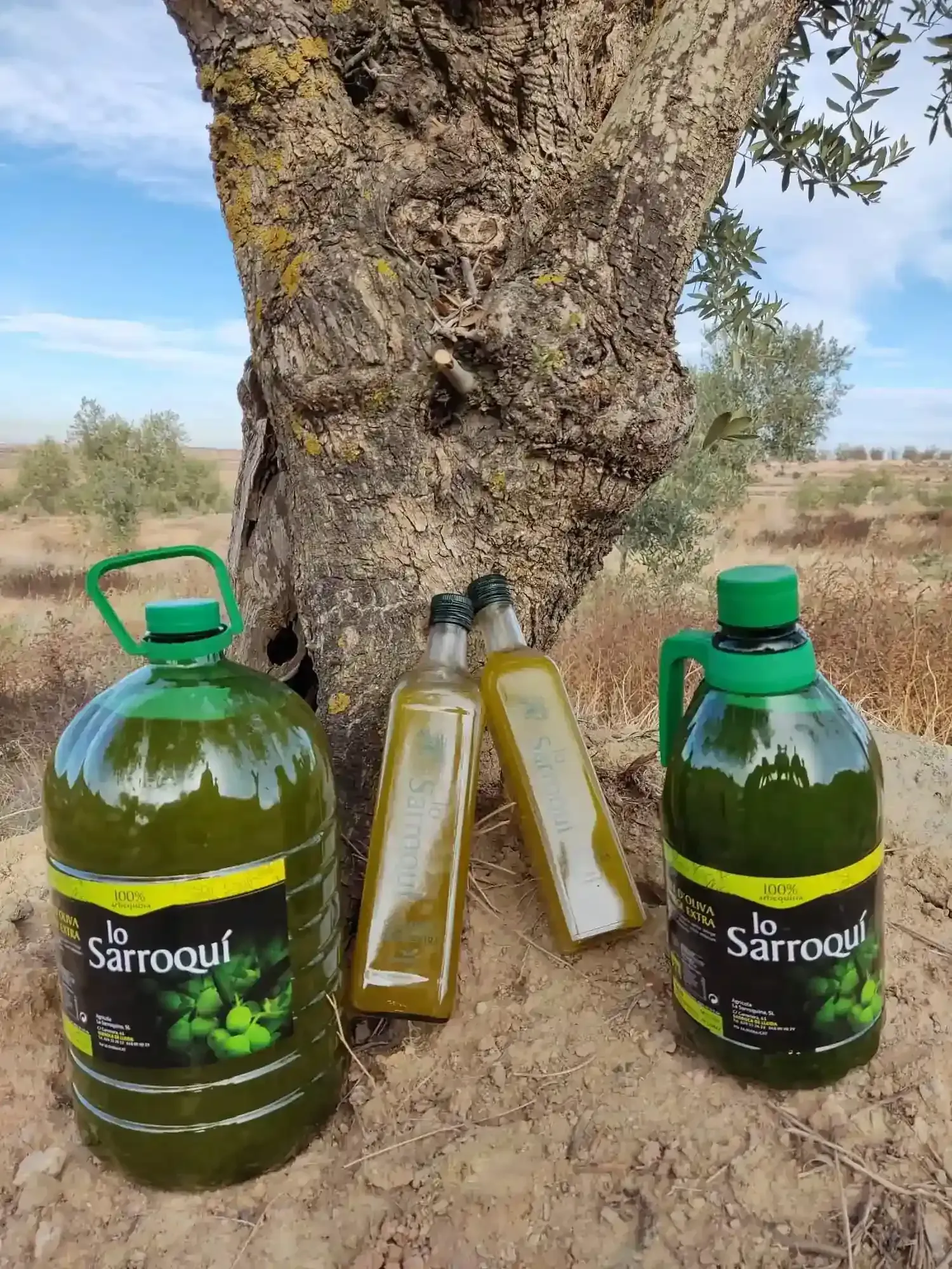 Dos grandes jarras y dos botellas de cristal de aceite de oliva verde etiquetadas como 