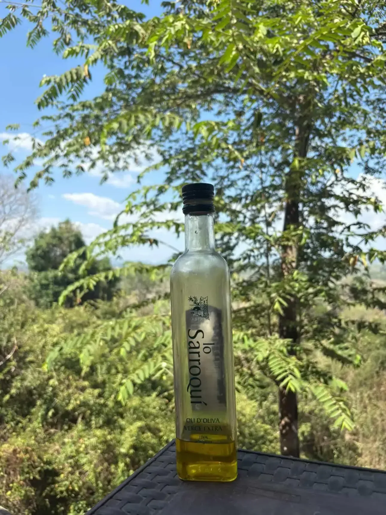 Una botella de aceite de oliva Sarroque reposa sobre una superficie oscura al aire