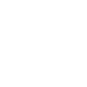 Icon Telefon

