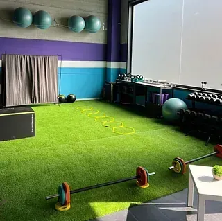 Gimnasio interior con césped artificial, barras, pesas, marcadores de agilidad, pelotas de ejercicio y balones medicinales montados en la pared; detalles en color morado, azul y verde.
