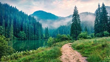 Osteopathie & Naturheilkunde