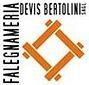 Falegnameria Devis Bertolini Sagl - logo