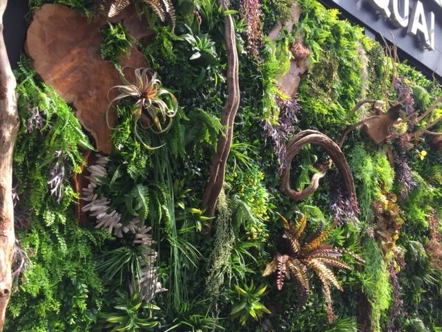 Mur végétal et branches