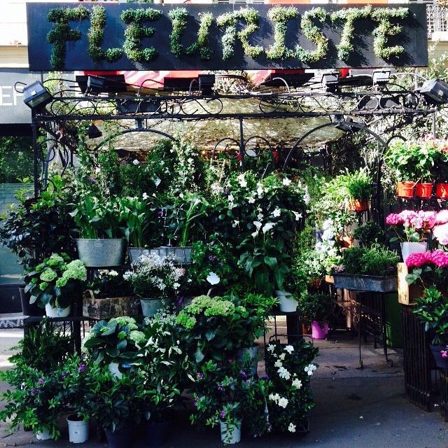 Devanture de boutique de fleuriste
