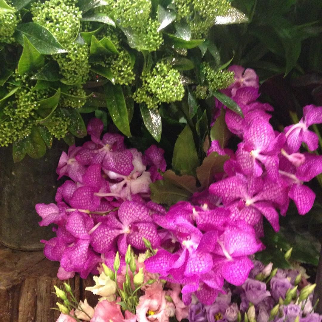 Fleurs rose,  plantes et feuilles