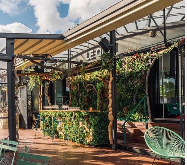 Décoration végétale : bar et chaises