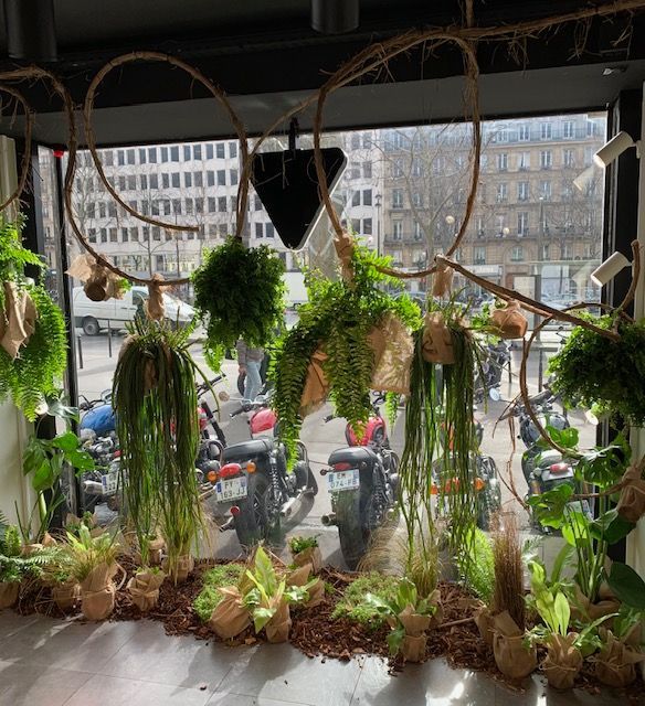 Décoration végétale pour vitrine