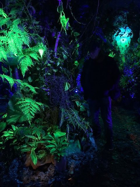 Décor de forêtsur le thème d'Avatar