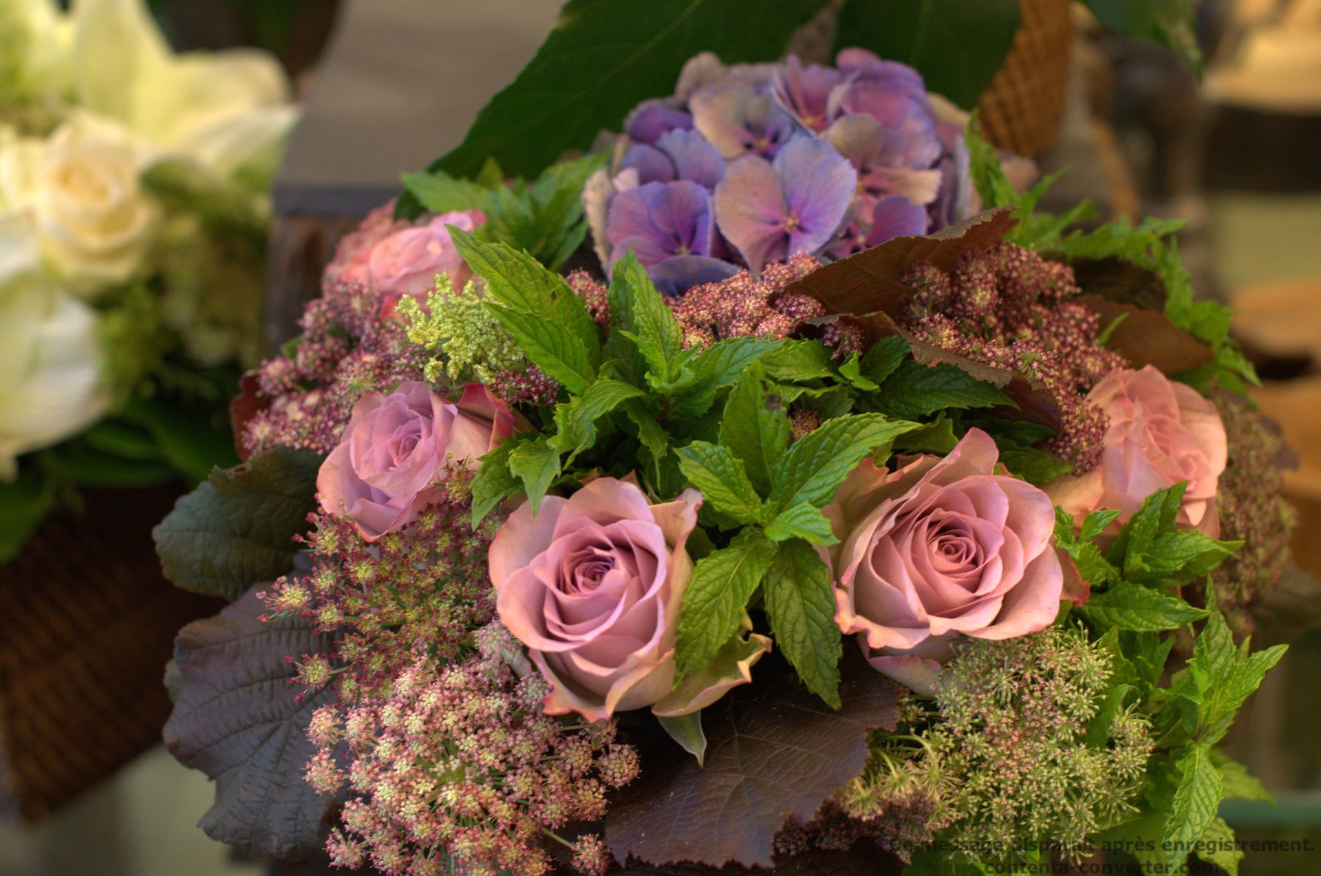 Fleurs roses et violette et feuilles