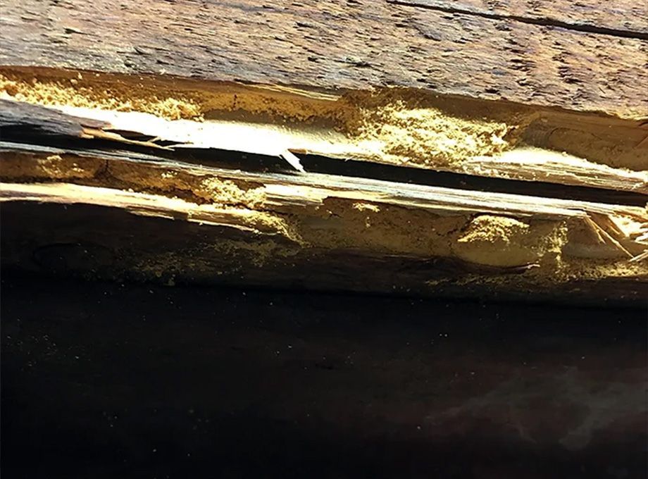 Bois de charpente abîmé 