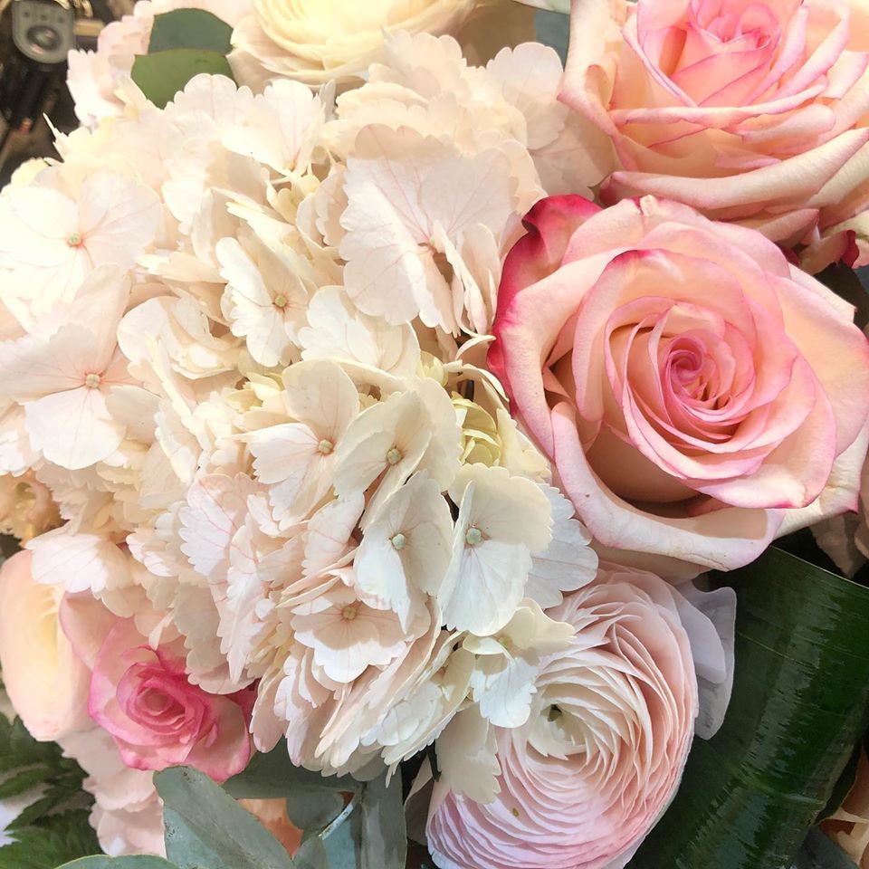 Fleurs rose et blanche en gros plan