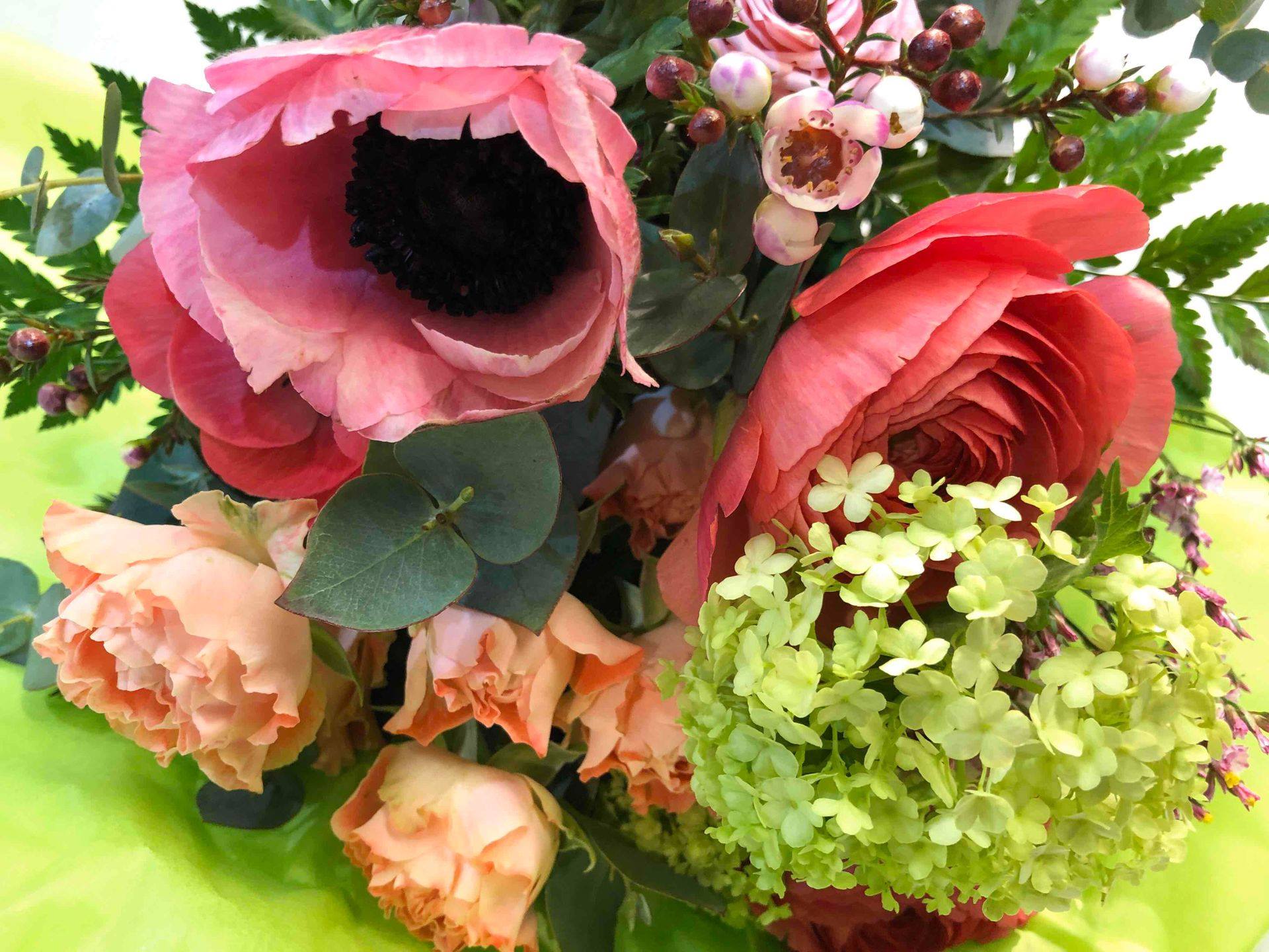 Fleurs colorées en gros plan