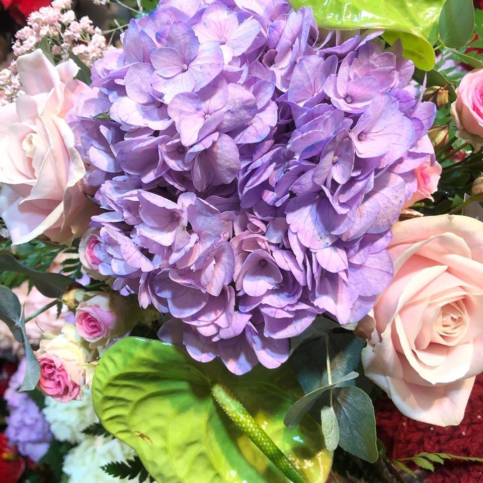 Hortensia mauve avec roses blanches