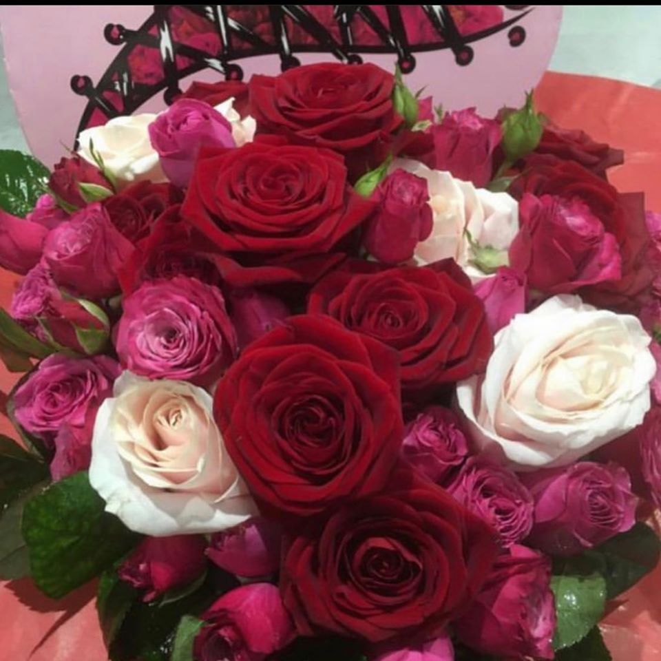 Roses rouges, roses et blanches