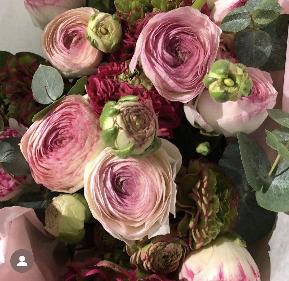 Fleurs roses avec des artichauts