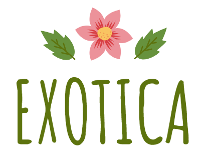 Logo de Exotica