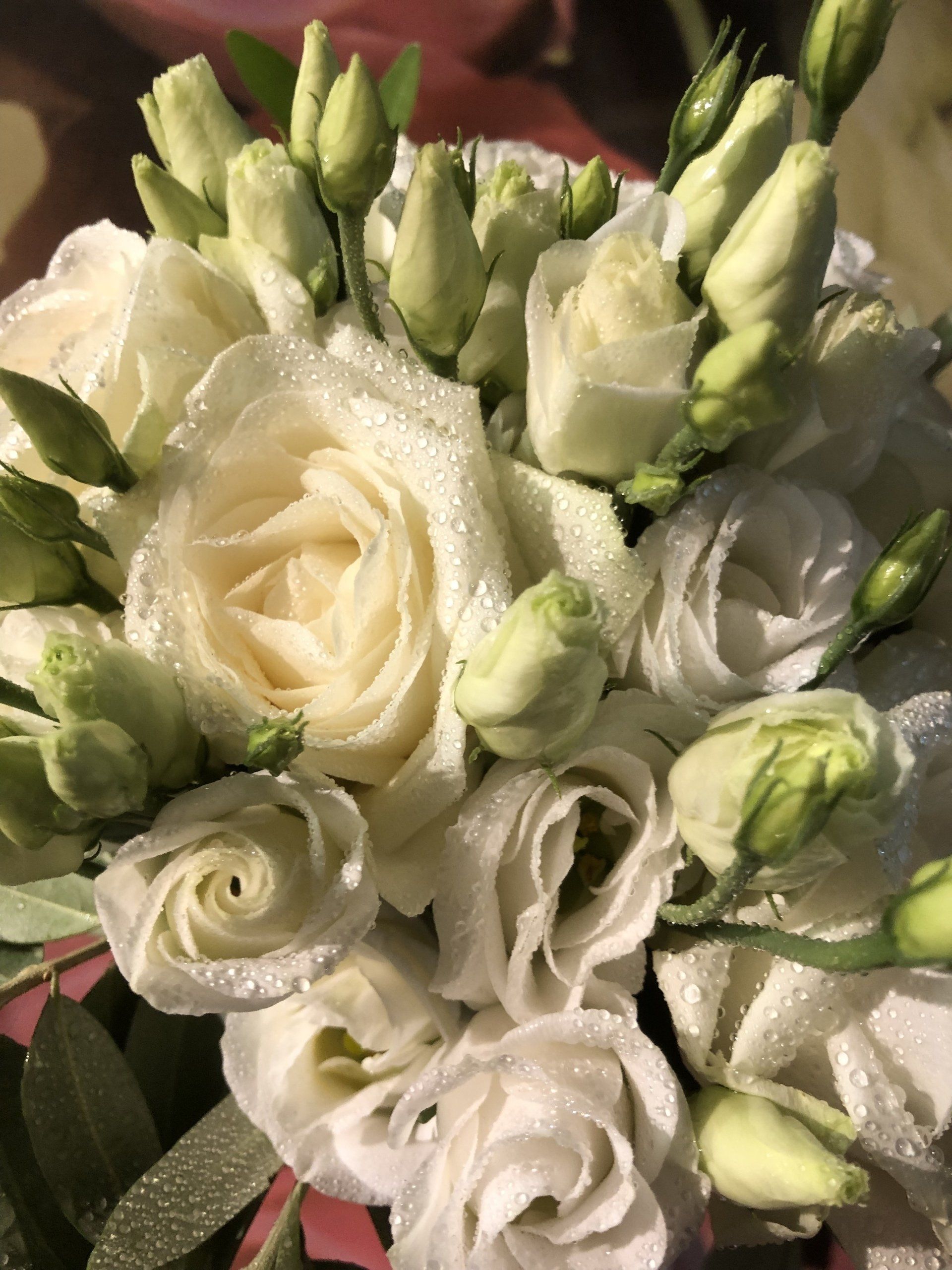 Bouquet de roses blanches en gros plan