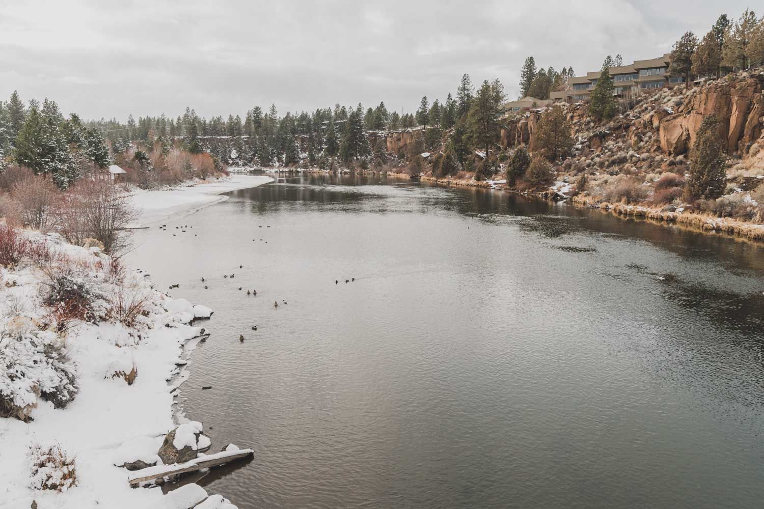 Snowy banks along the Deschutes River Trail in Bend Oregon a scene from one of the best winter hikes in Central Oregon
