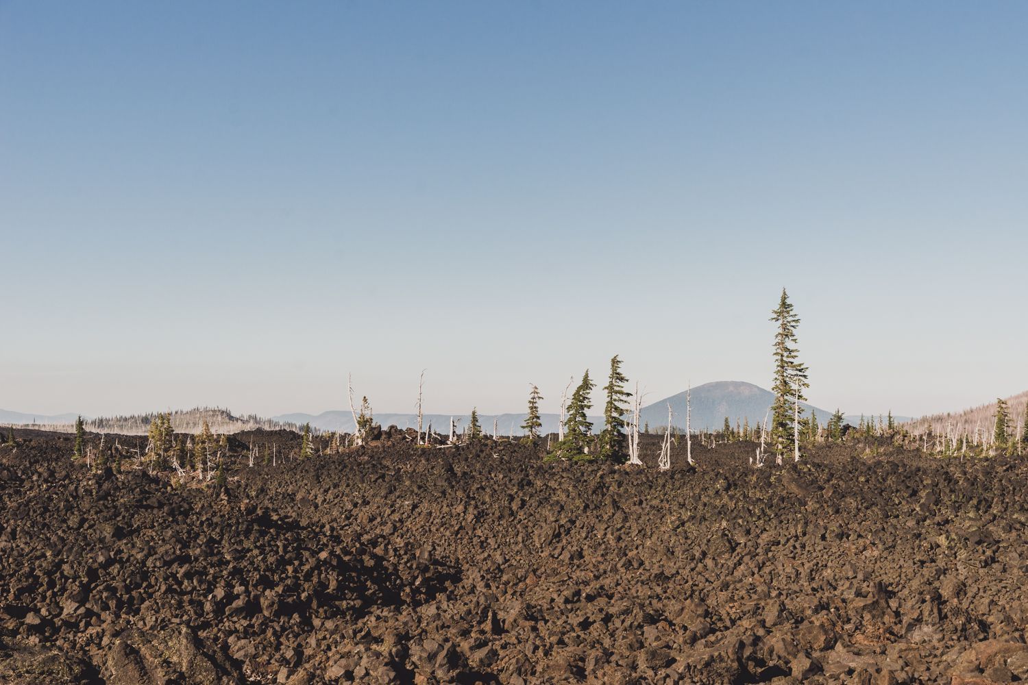 Mt.Bachelor, Eagles, 