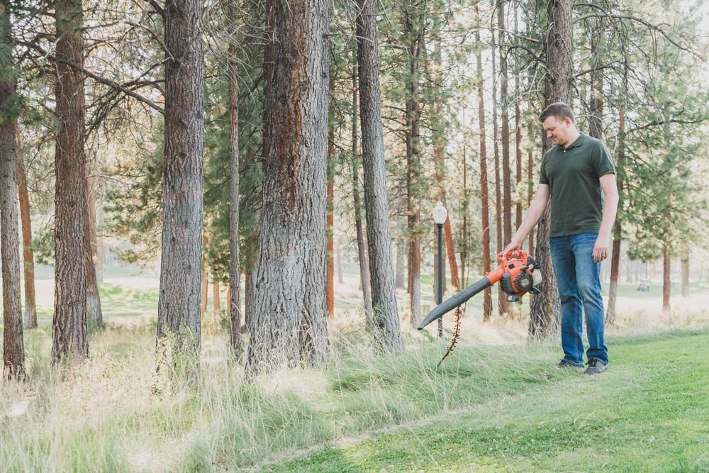 In house maintenance team