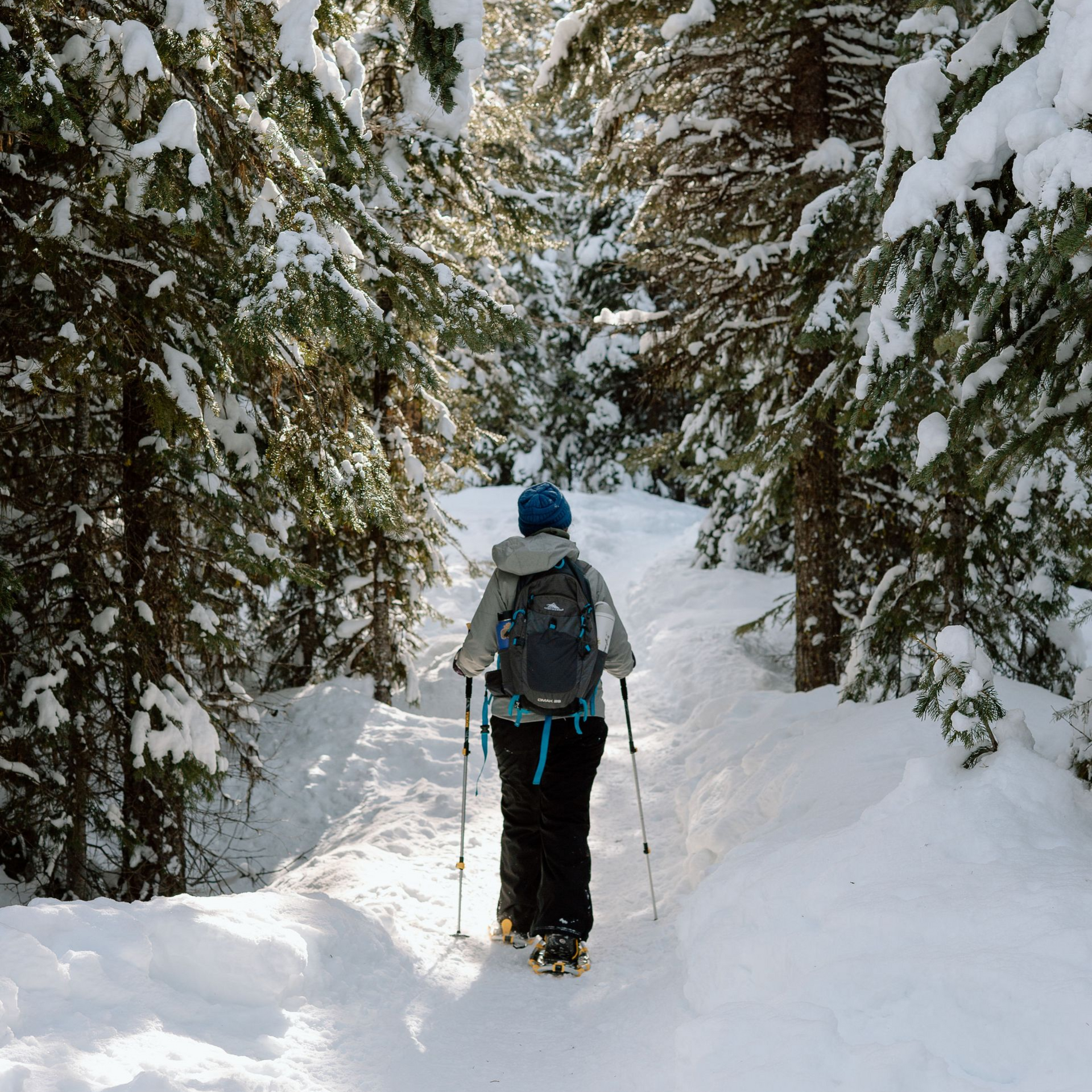 people cross country skiing at Swampy Lakes sno-park near Sunriver