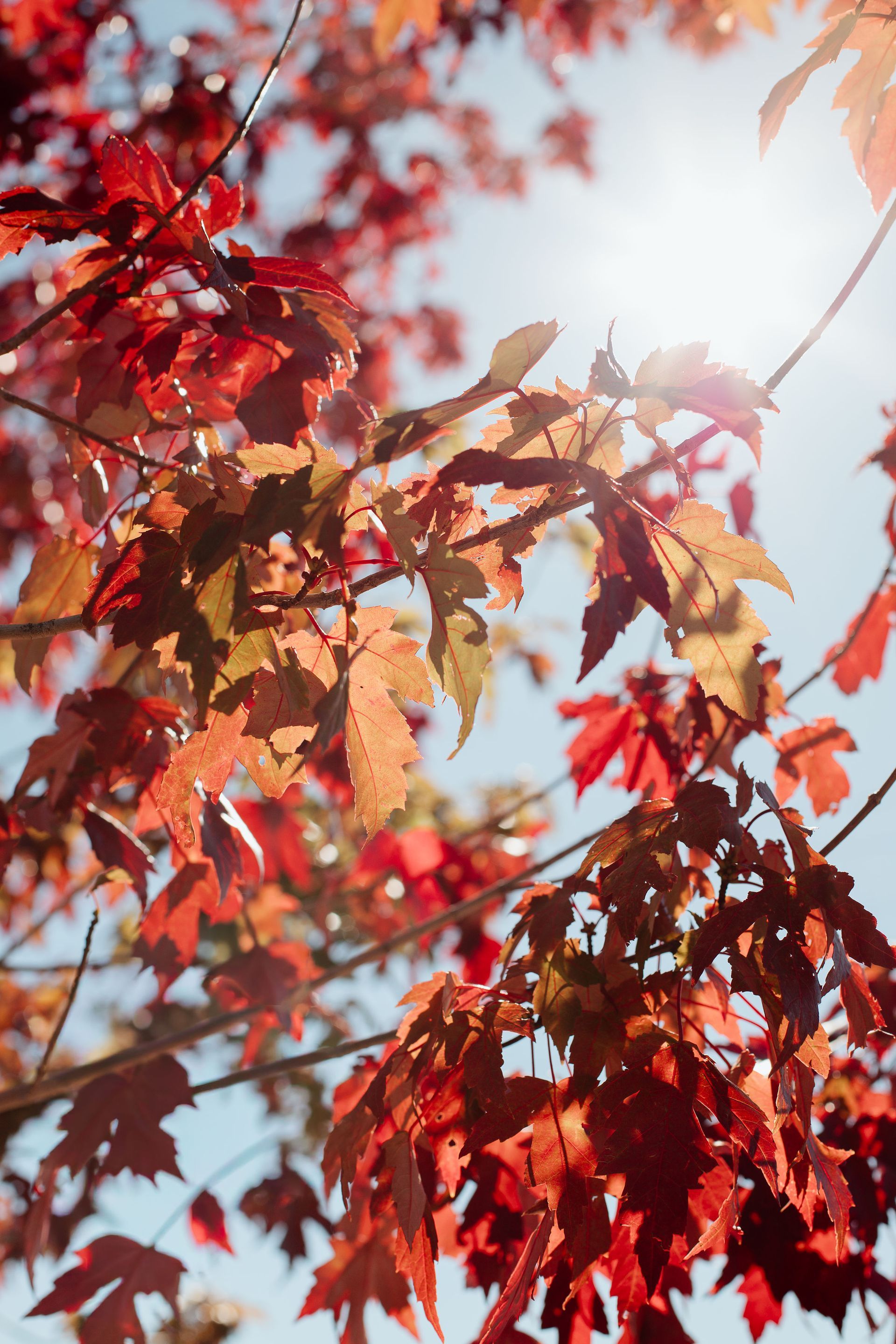 Fall in Bend | Bend Oregon | Bend Vacation Rentals