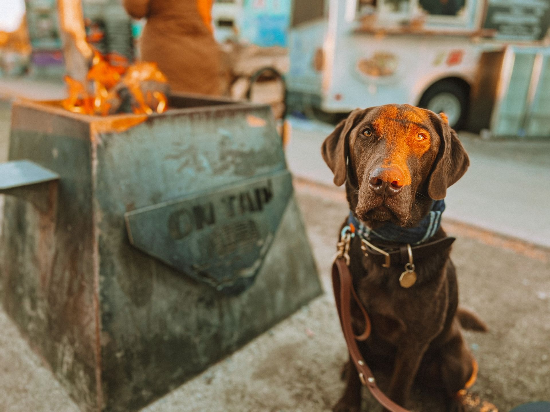 Dog sitting next to a fire pit at one of the best dog friendly restaurants in Sunriver, Oregon
