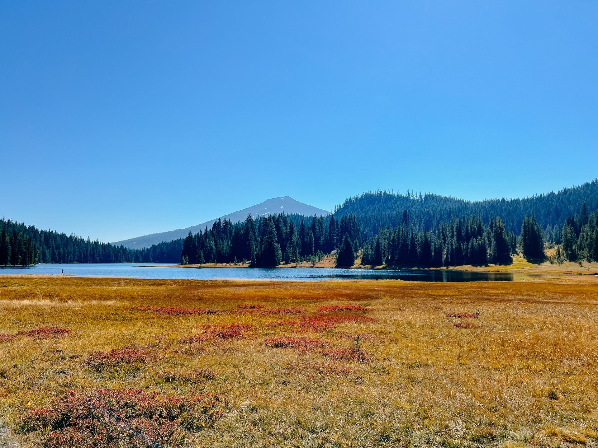 Fall in Bend | Bend Oregon | Bend Vacation Rentals