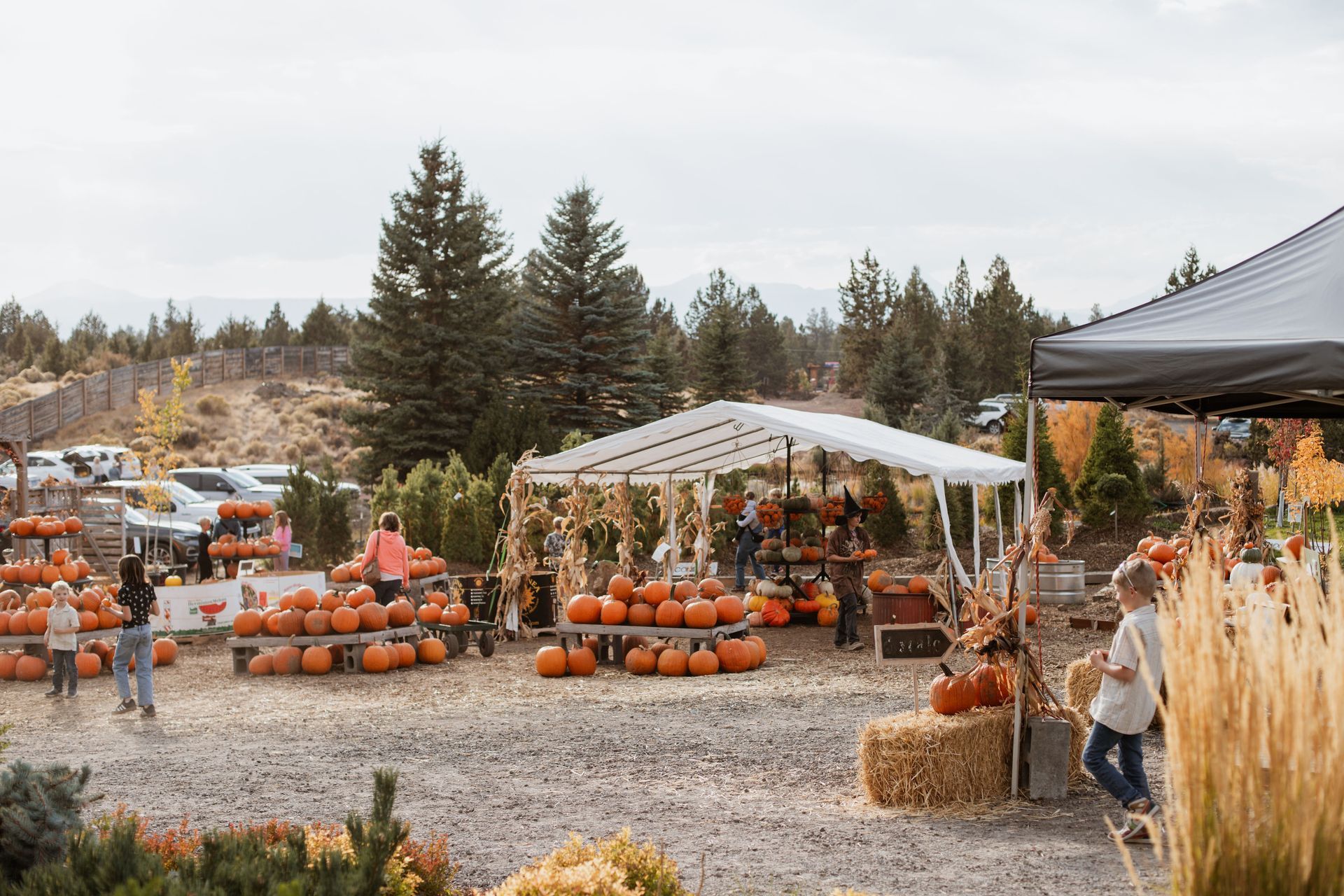 Pumpkins at an October event in Central Oregon