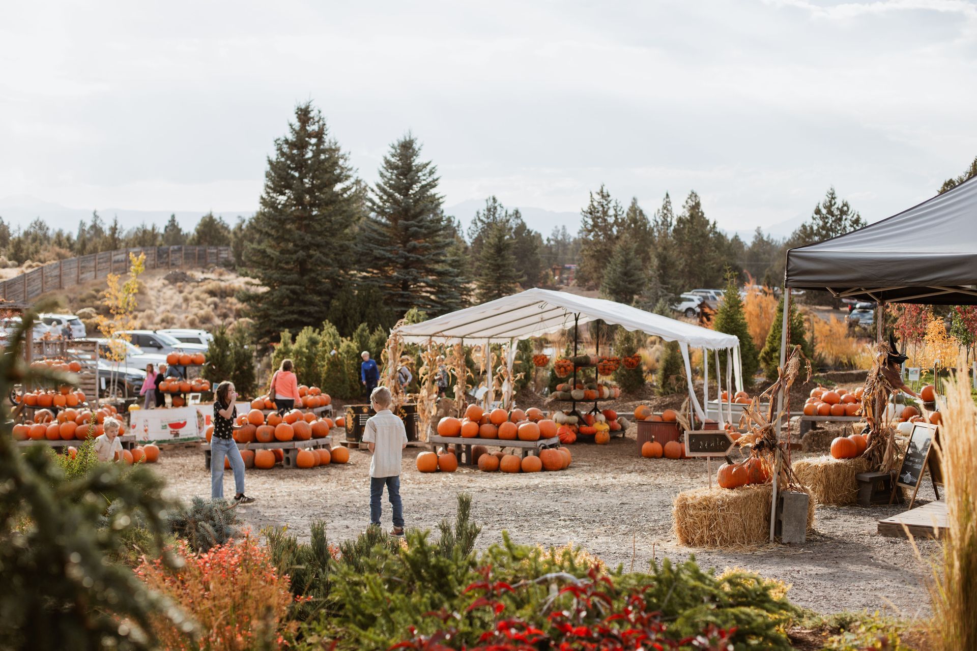 People at an October event at Shillings Garden Market with pumpkins