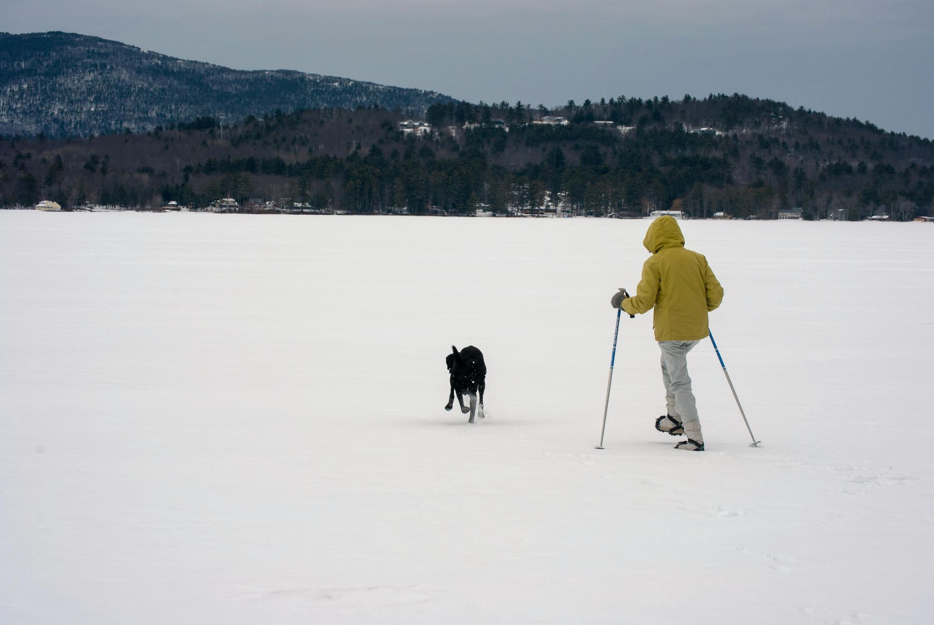 Person snowshoeing with a dog on one of the best dog-friendly snowshoe trails in Central Oregon