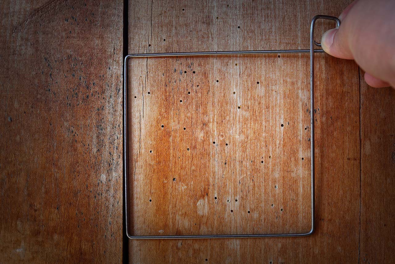 Petits trous dans le bois