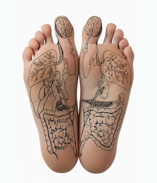 Pies con diagramas de órganos internos dibujados en las plantas; mapa de reflexología.