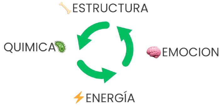 Diagram of a cycle showing