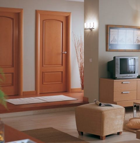 Una sala de estar con puertas de madera y un televisor de pantalla plana.