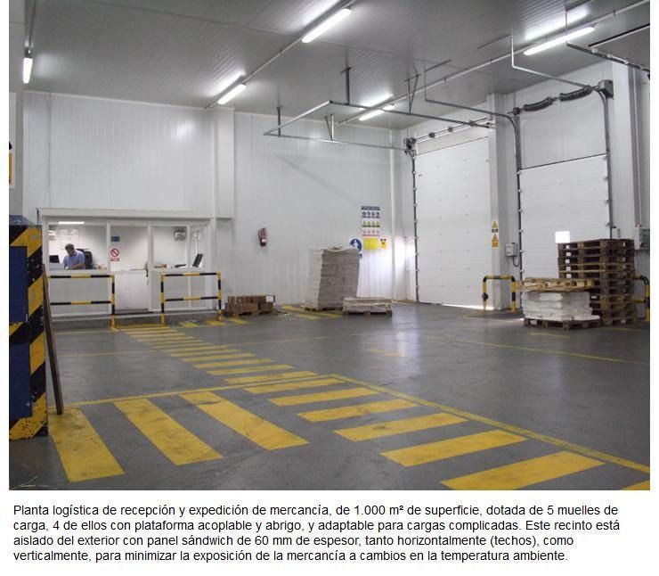 Un gran almacén con suelo de rayas amarillas y negras.