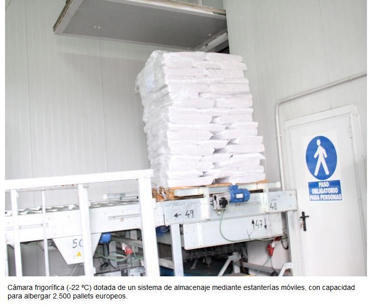 Una gran pila de bolsas blancas se encuentra encima de una cinta transportadora.