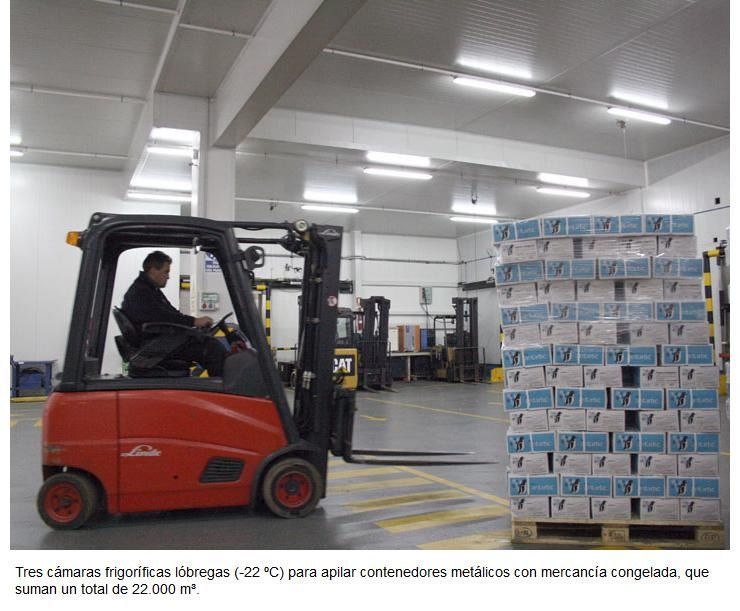 Un hombre conduce una carretilla elevadora en un almacén lleno de cajas.
