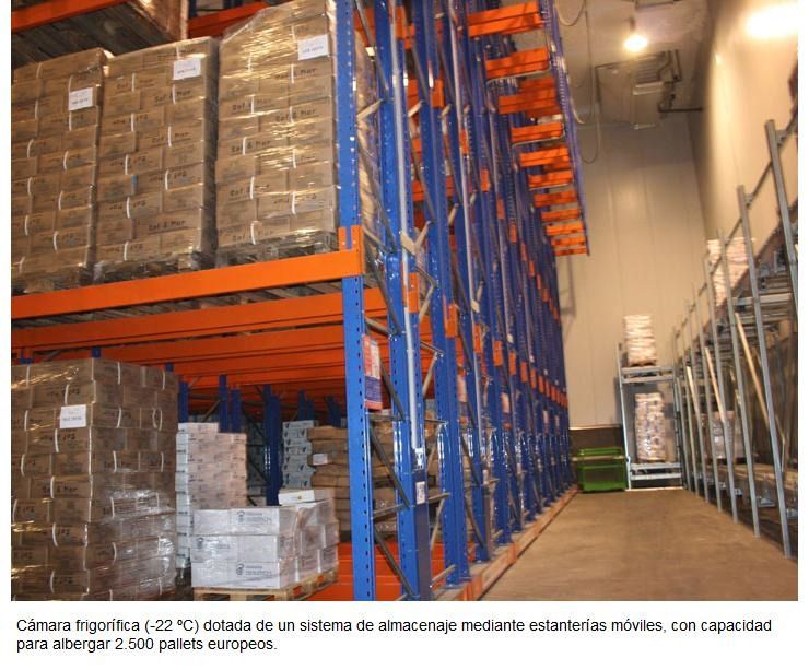 Un almacén lleno de muchas cajas y estantes.