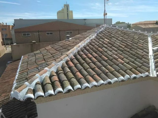 Un tejado con muchas tejas y un edificio al fondo.