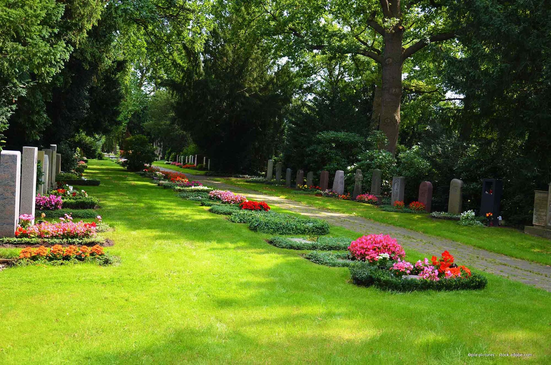 Garten mit Zierpflanzen