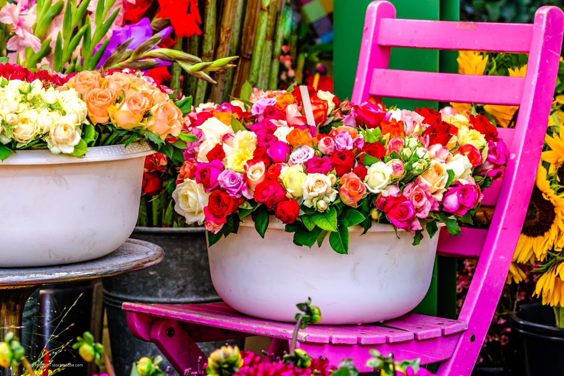 Reibold Michael-Tübingen-051