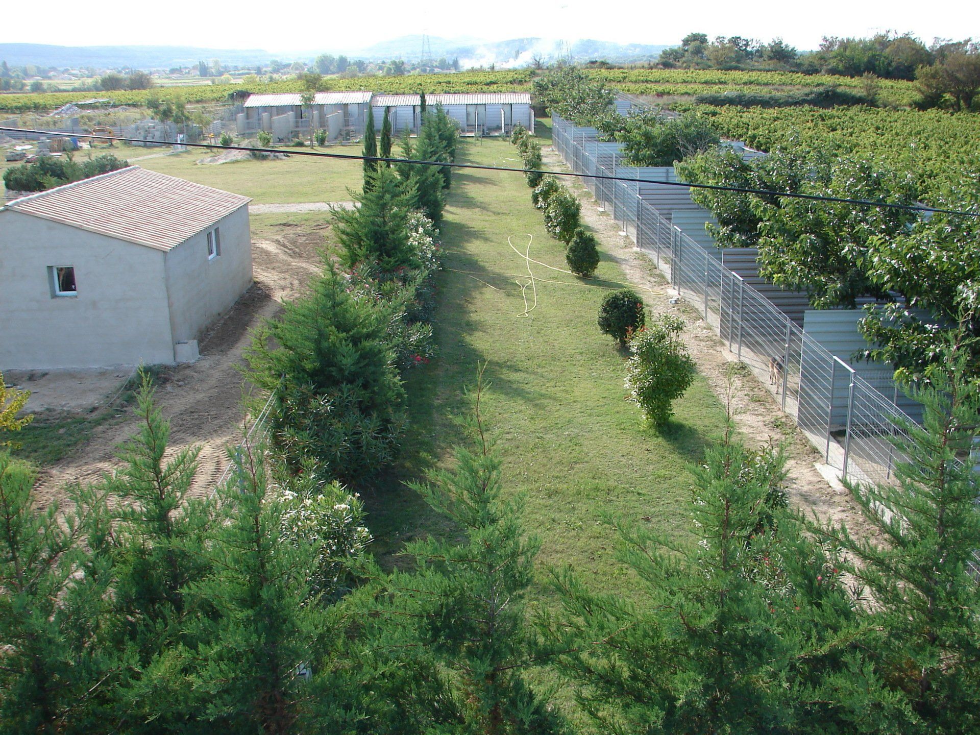 Vue du centre canin
