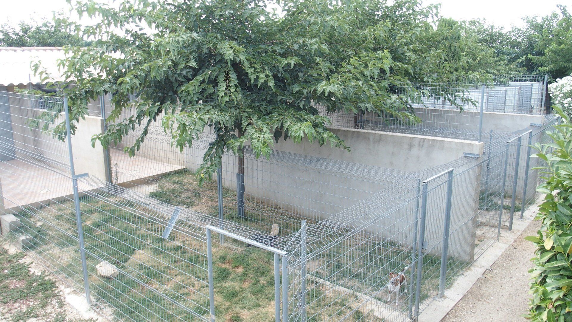 Centre canin La Gaïdocienne, vue sur le chenil