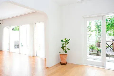 Hay una planta en maceta en el medio de la habitación.