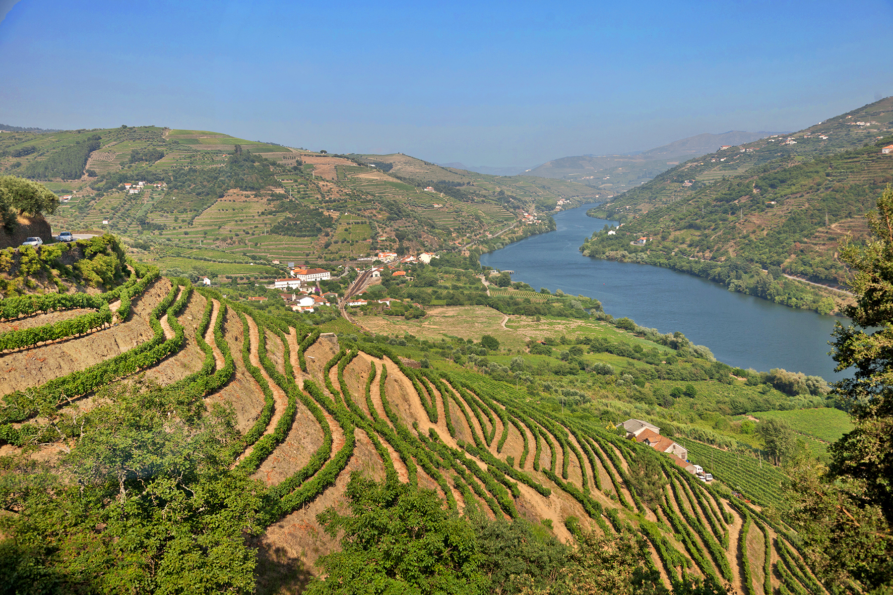 Day trip to Douro Valley vineyards from Porto apartment stay