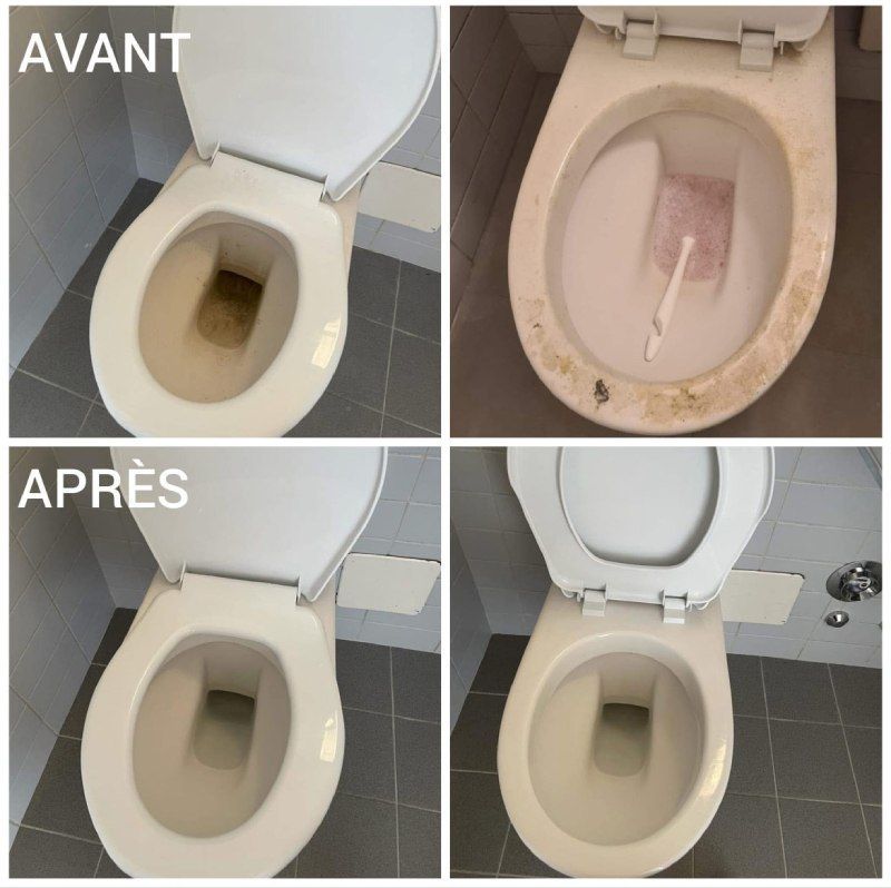 photos de toilettes sales et les mêmes toilettes propres après récurage 