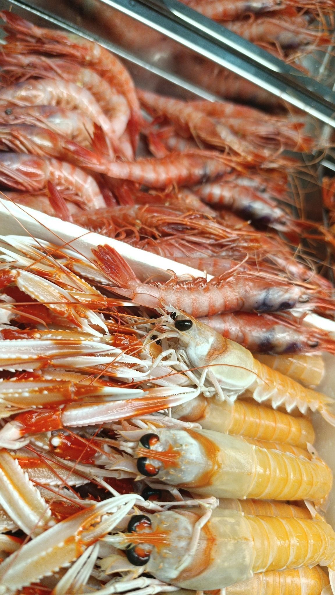 imagen servicio principal